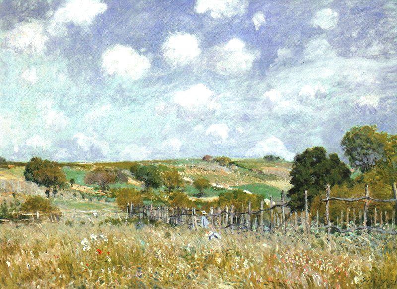 Alfred Sisley Meadow china oil painting image